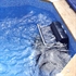 Dolphin Sport Wooden Pool