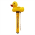 Novelty Floating Thermometers
