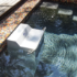 Endless Pools Fastlane Swim