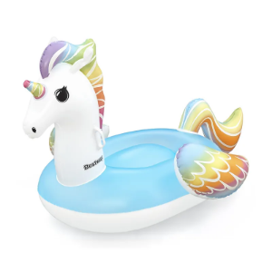 Fantasy Unicorn Rider