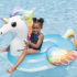 Fantasy Unicorn Rider