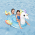 Fantasy Unicorn Rider